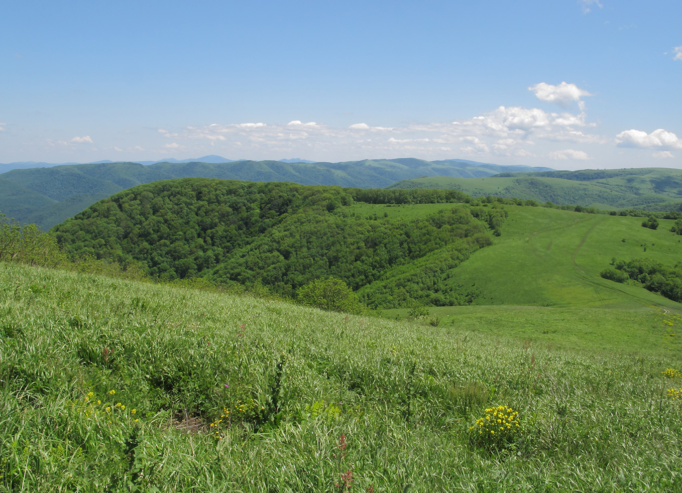 Гора Мухины Поляны, image of landscape/habitat.