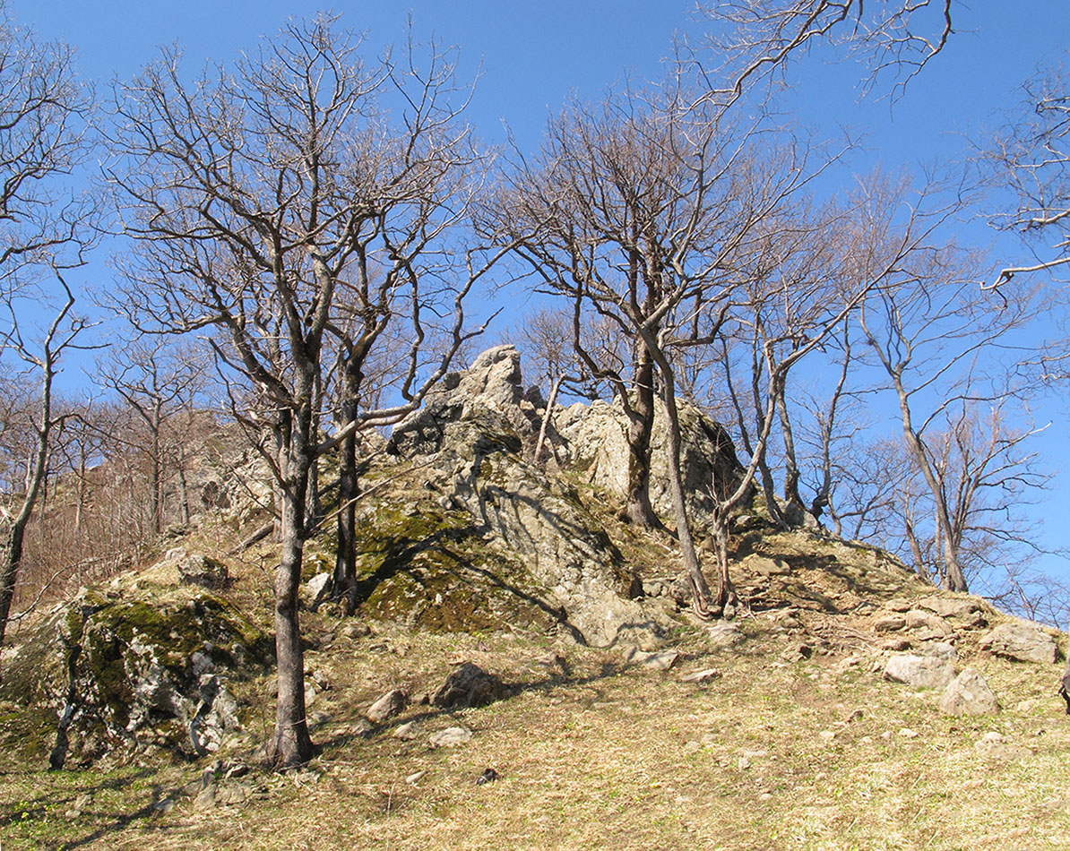 Гора Индюк, image of landscape/habitat.
