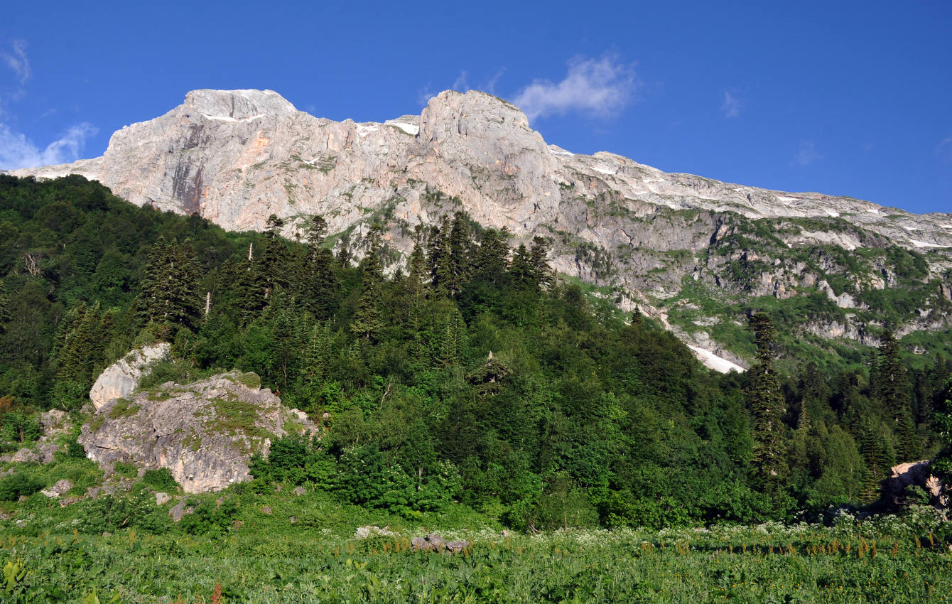 Фишт, image of landscape/habitat.