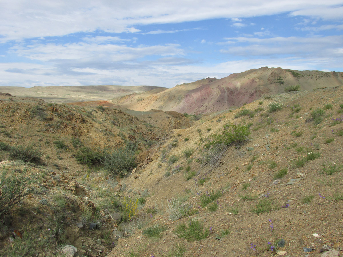 Тыдтуярык (кемпинг и рядом), image of landscape/habitat.