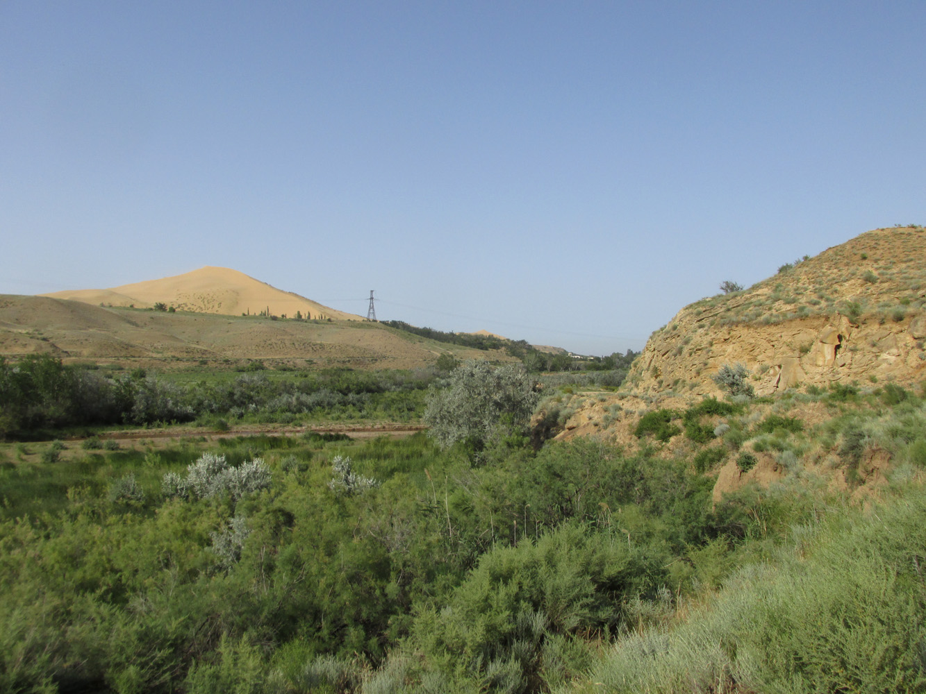 Долина реки Шураозень, image of landscape/habitat.