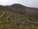 Image of landscape