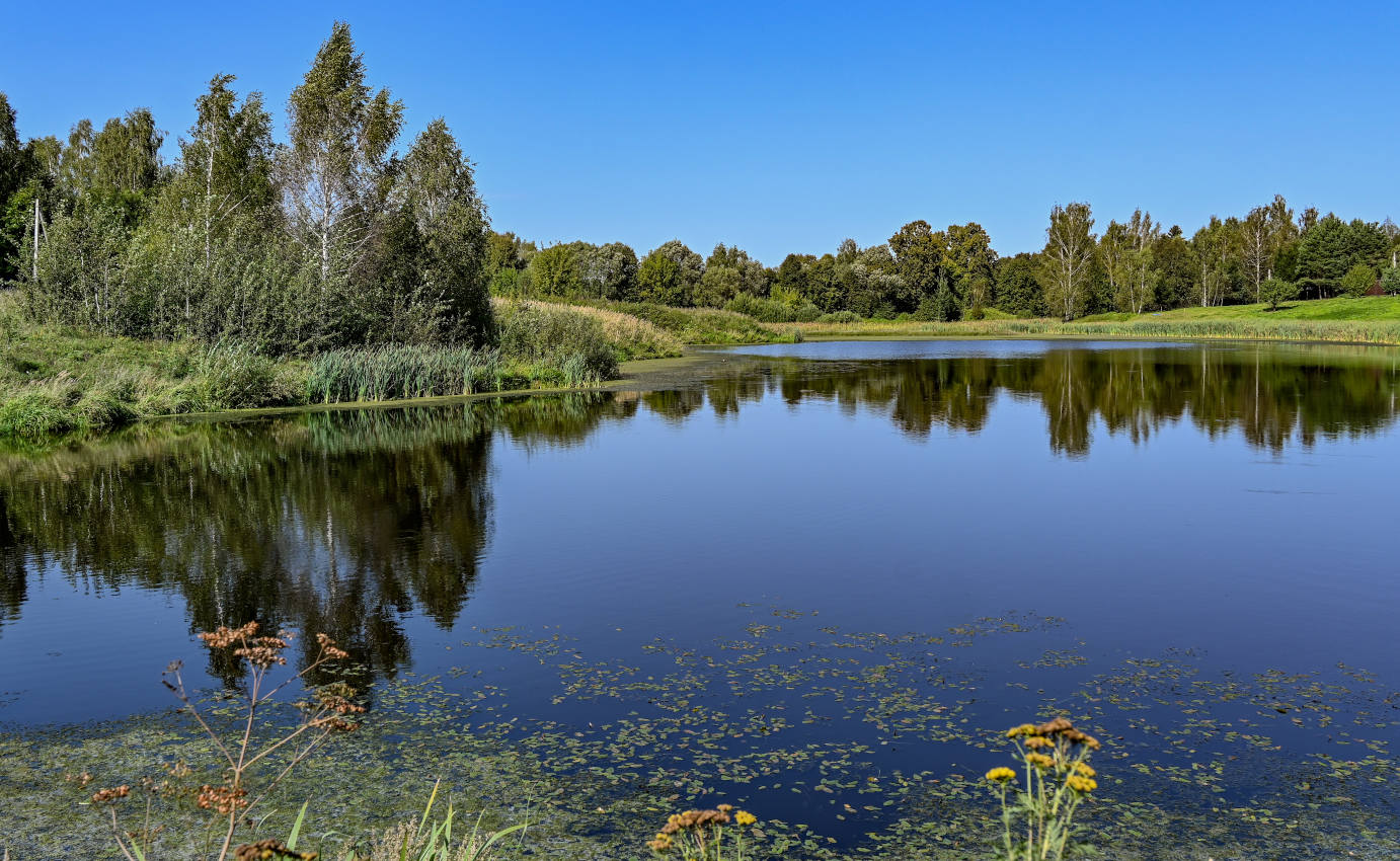 Окрестности деревни Оксино, image of landscape/habitat.