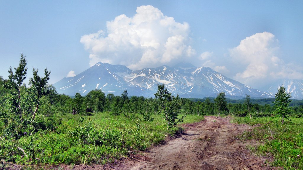 Козельский вулкан, image of landscape/habitat.