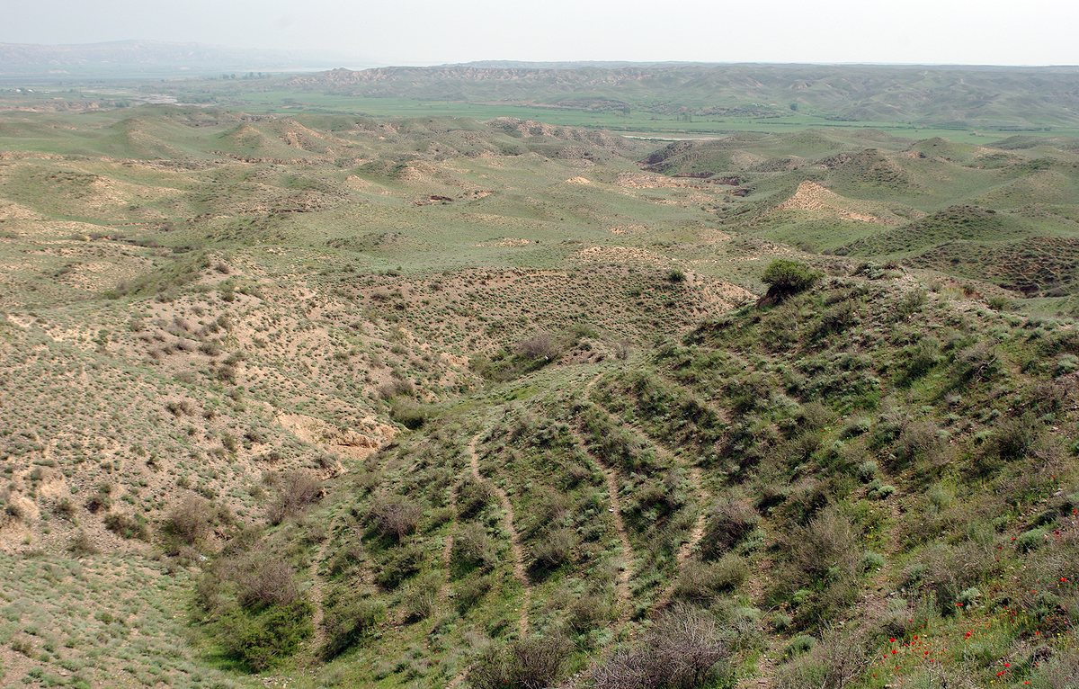 Долина Таузчая, image of landscape/habitat.