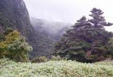 Landscape image