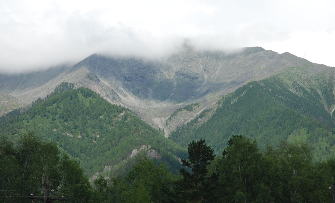 Аршан, image of landscape/habitat.