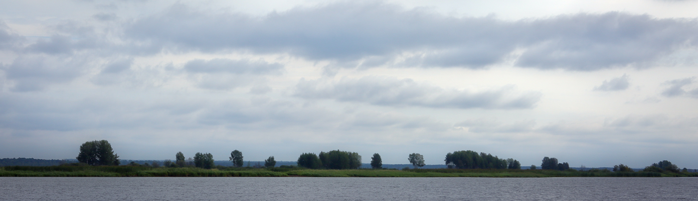 Окрестности деревни Першино, image of landscape/habitat.