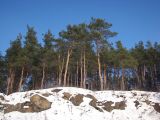 Image of landscape