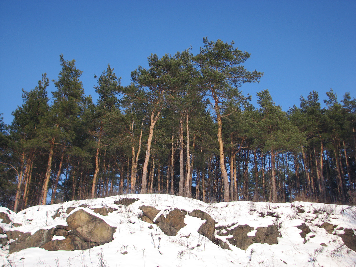 Новоград-Волынский, image of landscape/habitat.