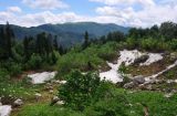 Фишт, image of landscape/habitat.