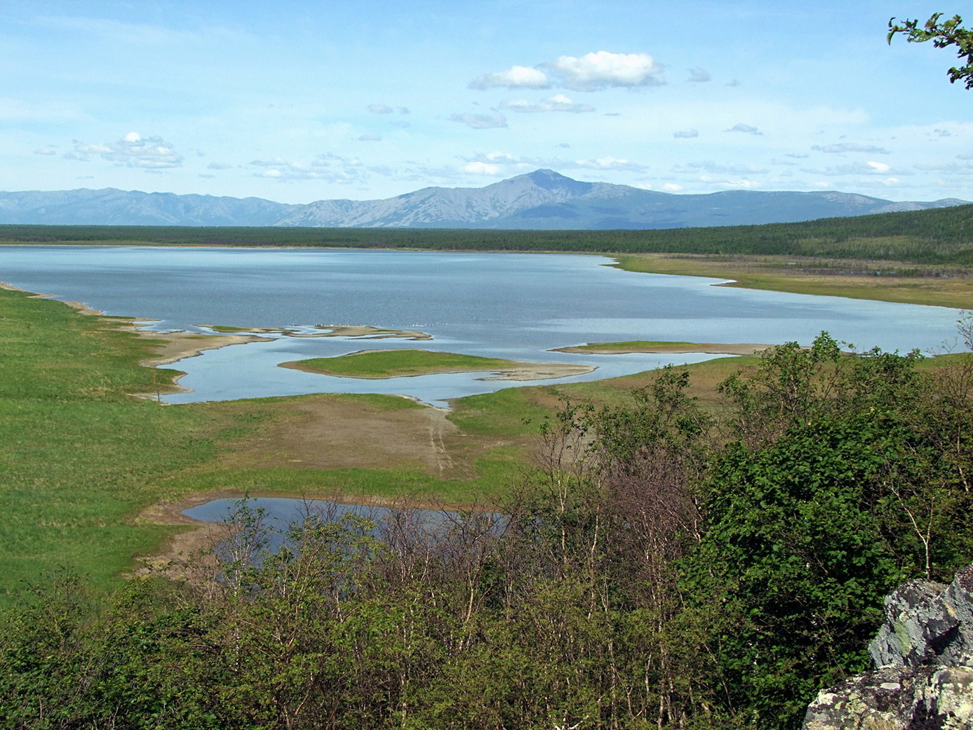 Соленое, image of landscape/habitat.
