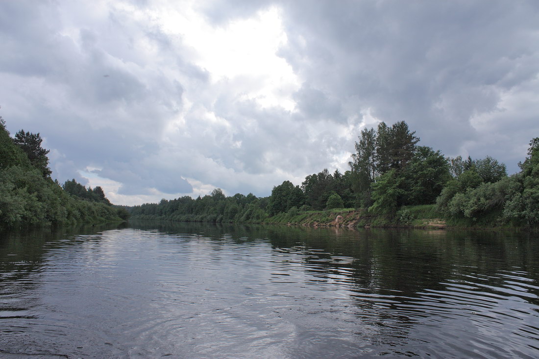 Луга у Кемки, image of landscape/habitat.