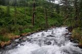 Image of landscape