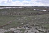 Image of landscape