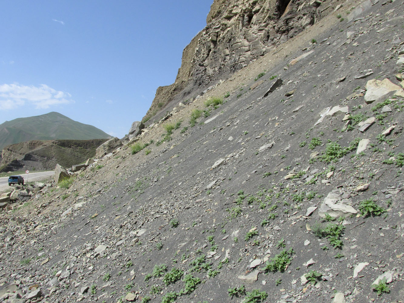 Окрестности села Турци, image of landscape/habitat.