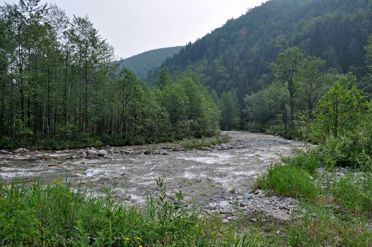 Долина реки Гремячий Лог, изображение ландшафта.