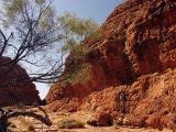 Kings Canyon, изображение ландшафта.