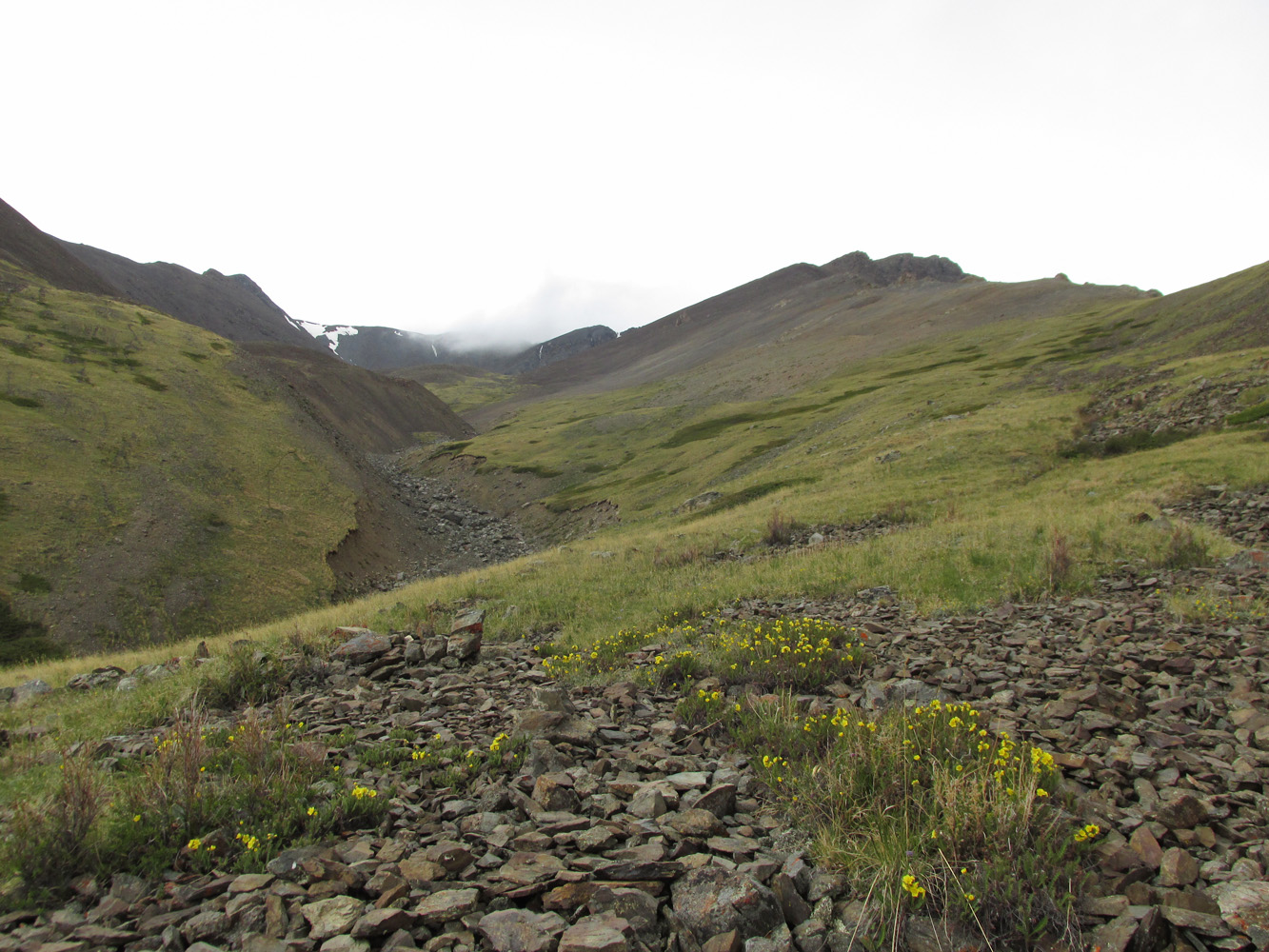 Тыдтуярык, image of landscape/habitat.