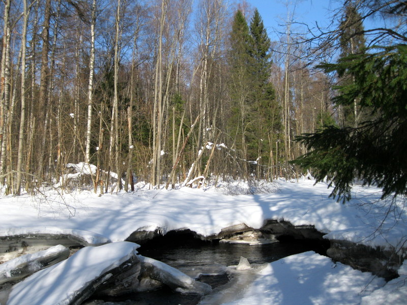 Рощино (Линдуловская роща), image of landscape/habitat.