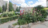 Красноармейский район Волгограда, image of landscape/habitat.