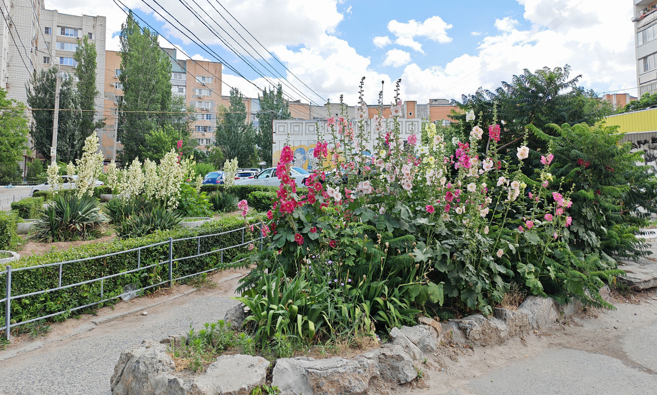 Красноармейский район Волгограда, image of landscape/habitat.