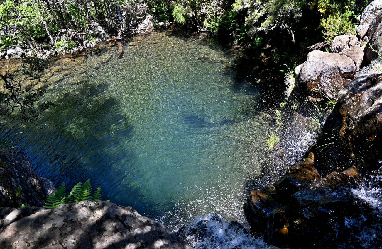 Верховья реки Рибейра-Гранде, image of landscape/habitat.