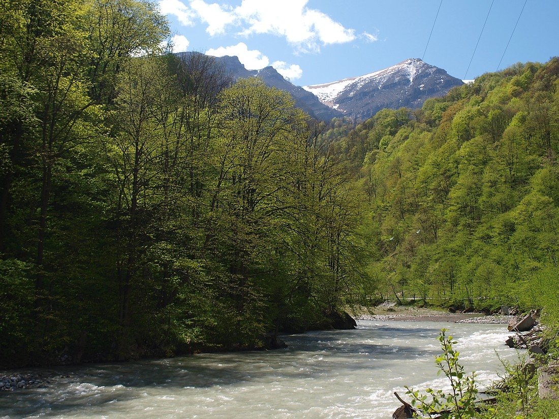 Низовья Алагирского ущелья, image of landscape/habitat.