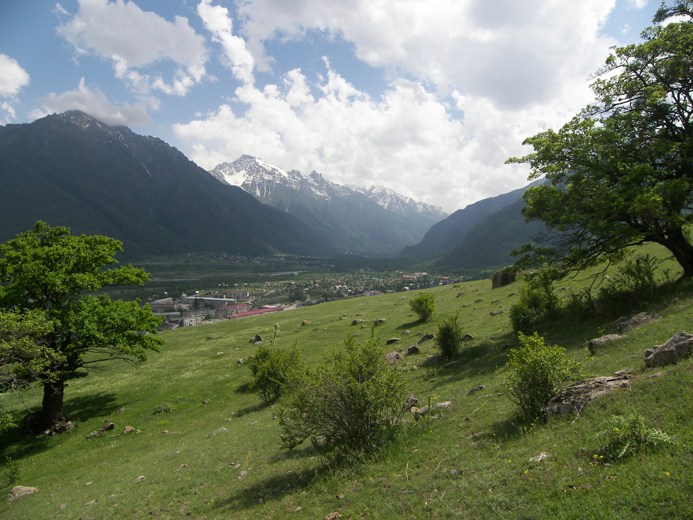 Гора Лысая, image of landscape/habitat.