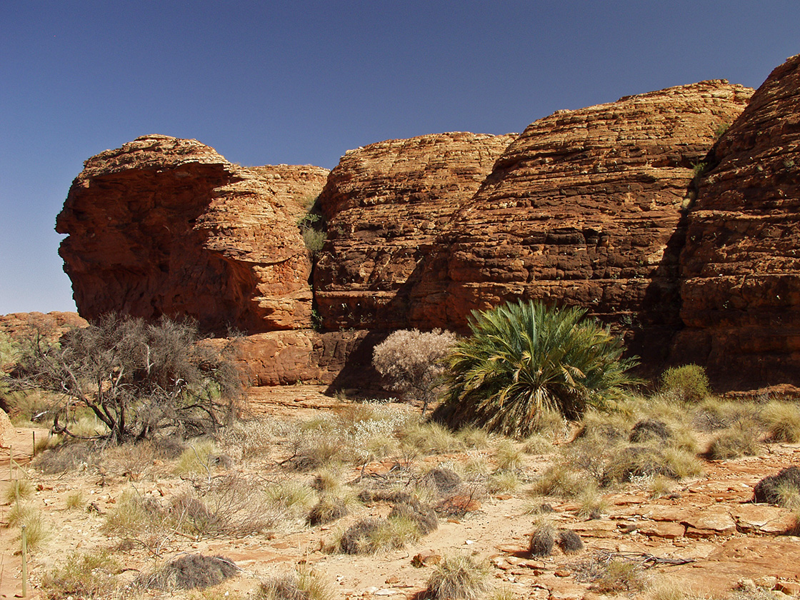 Kings Canyon, изображение ландшафта.