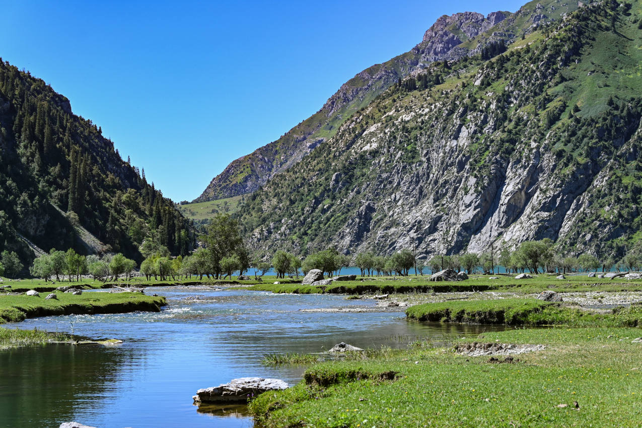 Озеро Кара-Камыш, image of landscape/habitat.