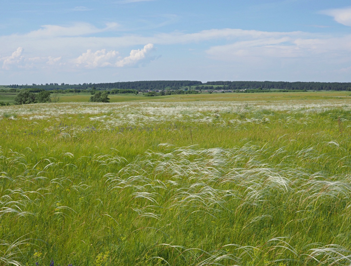 Долина реки Бирля и окрестности, image of landscape/habitat.