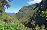Image of landscape