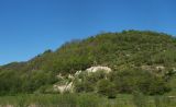 Image of landscape