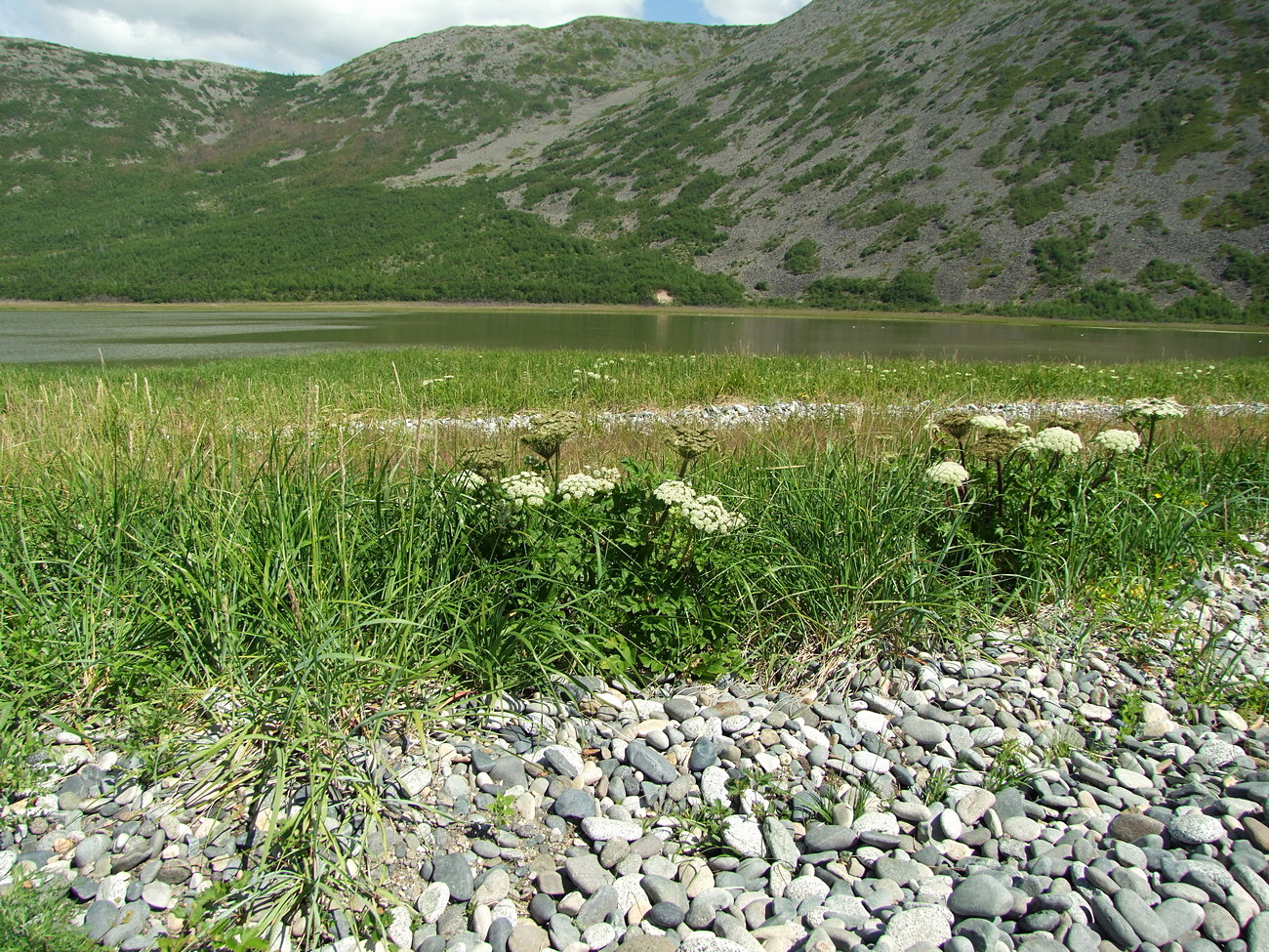 Соленое, image of landscape/habitat.