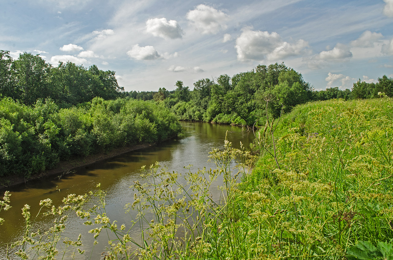 Окрестности села Вознесенское, image of landscape/habitat.