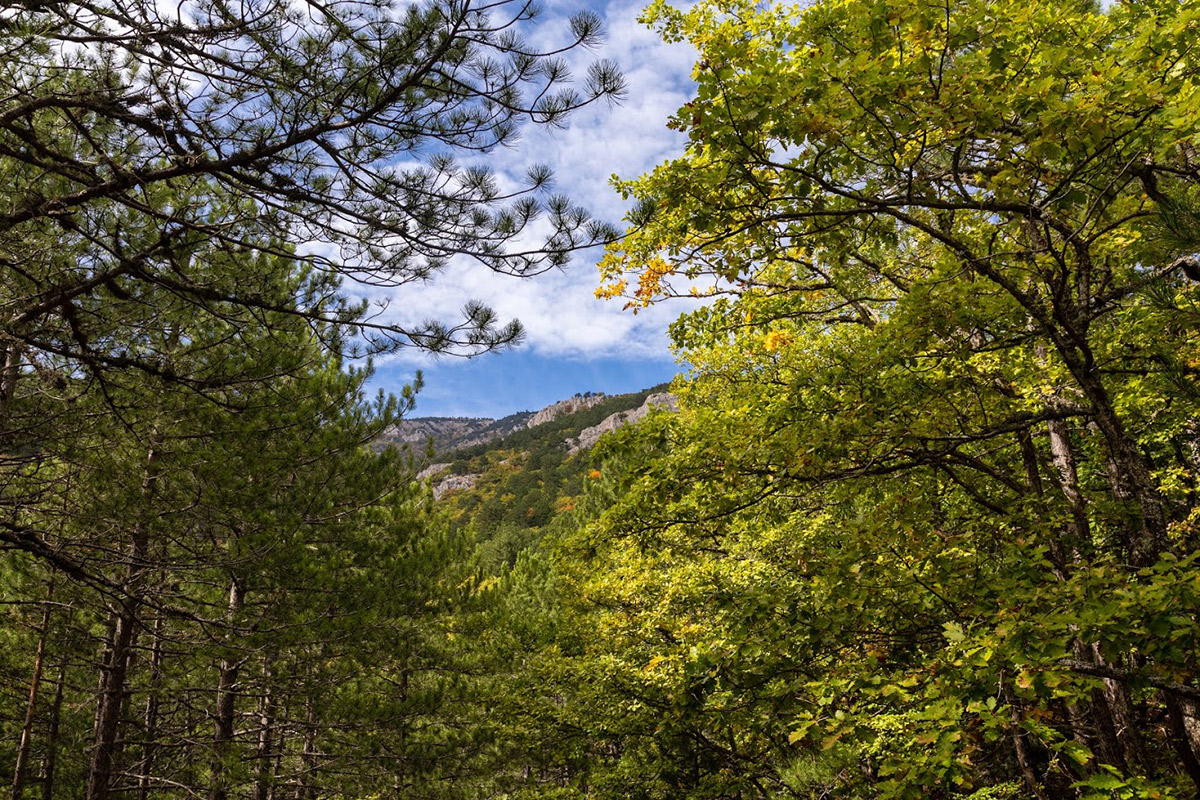 Урочище Парагильмен, image of landscape/habitat.