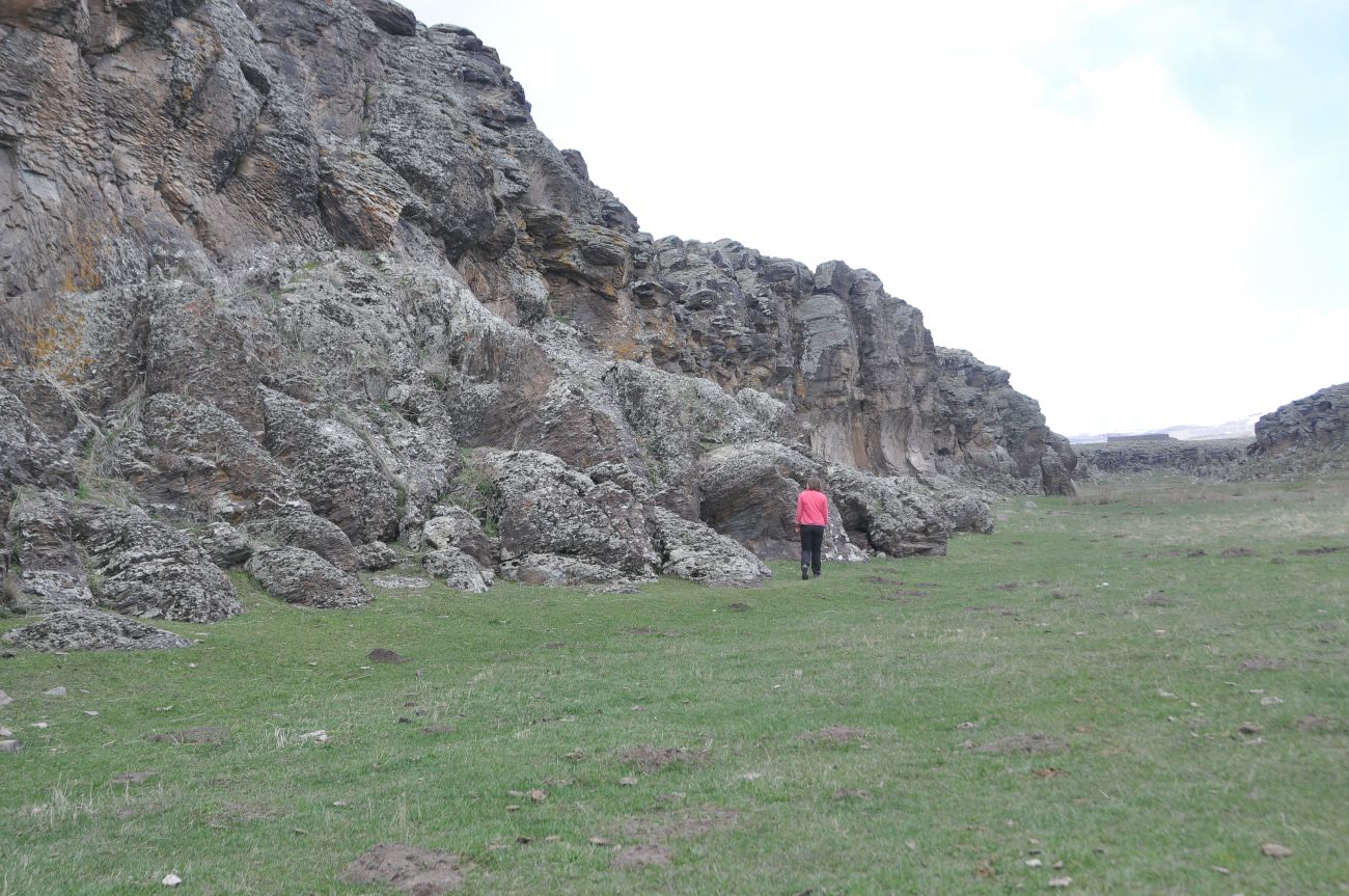 Долина реки Борлук, image of landscape/habitat.
