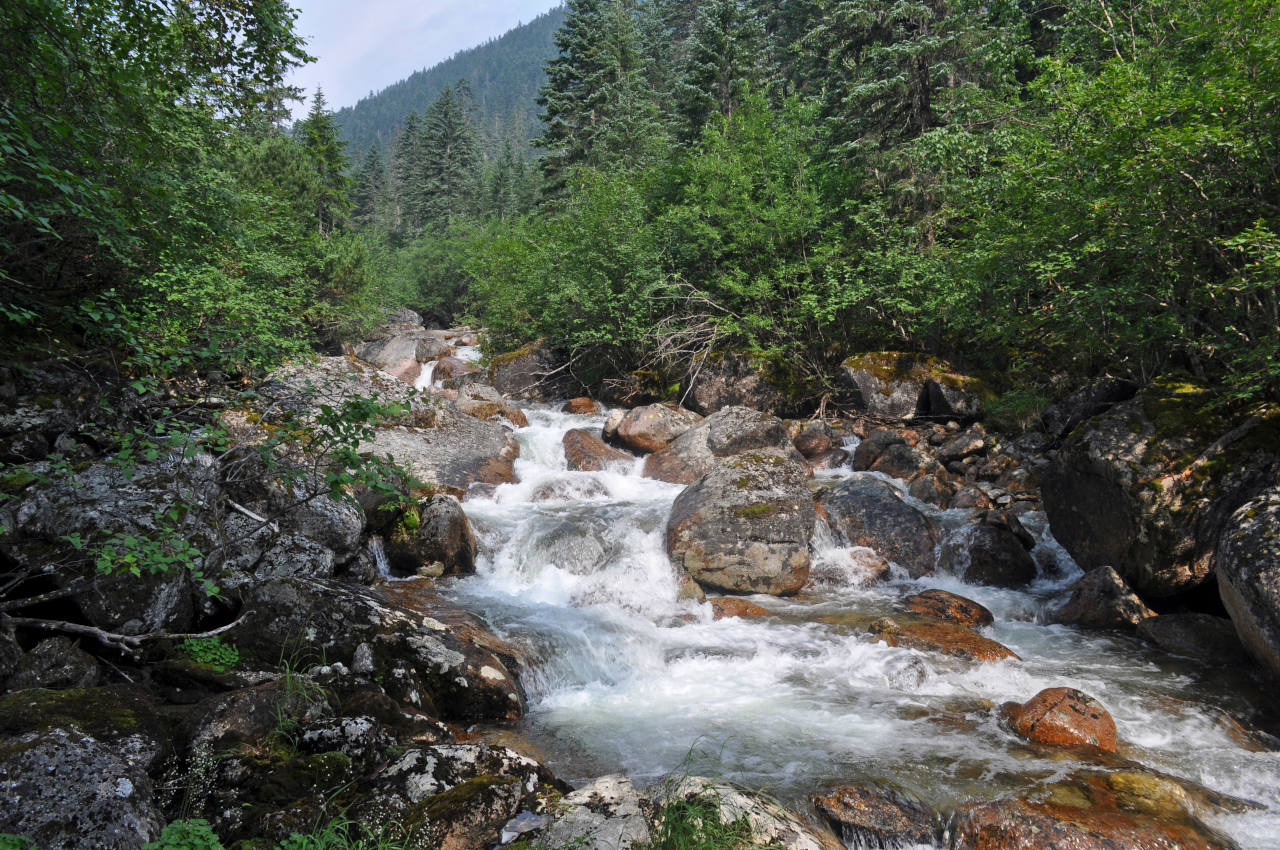 Долина реки Гремячий Лог, image of landscape/habitat.