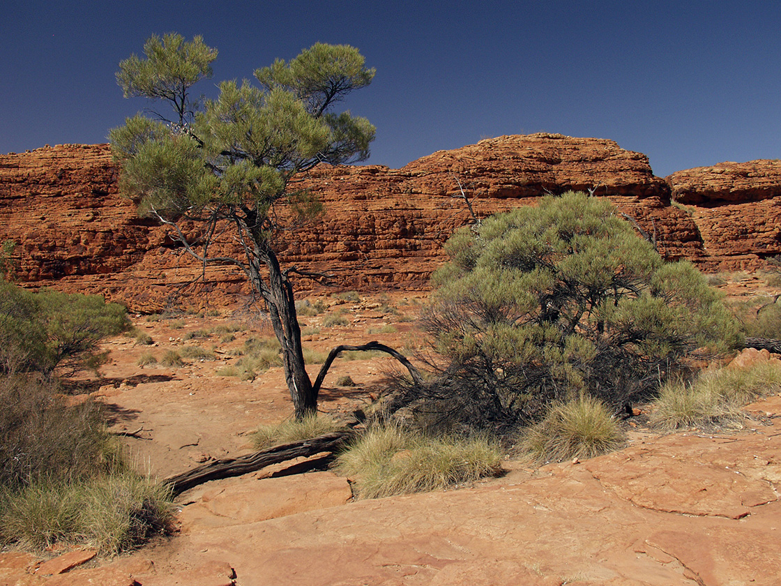 Kings Canyon, изображение ландшафта.