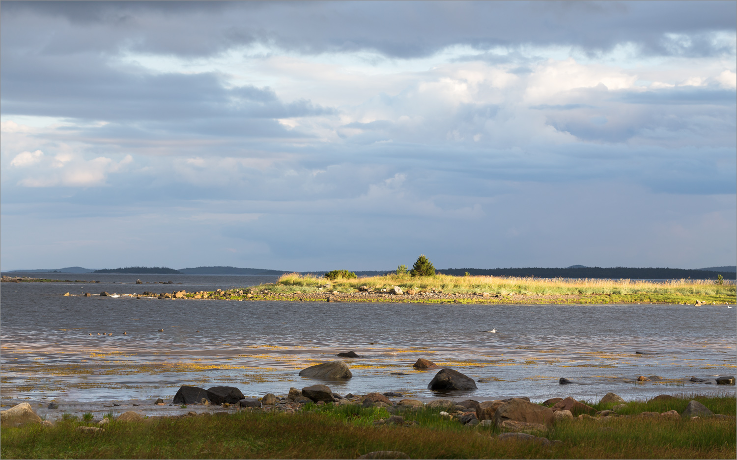Кандалакша и окрестности, image of landscape/habitat.