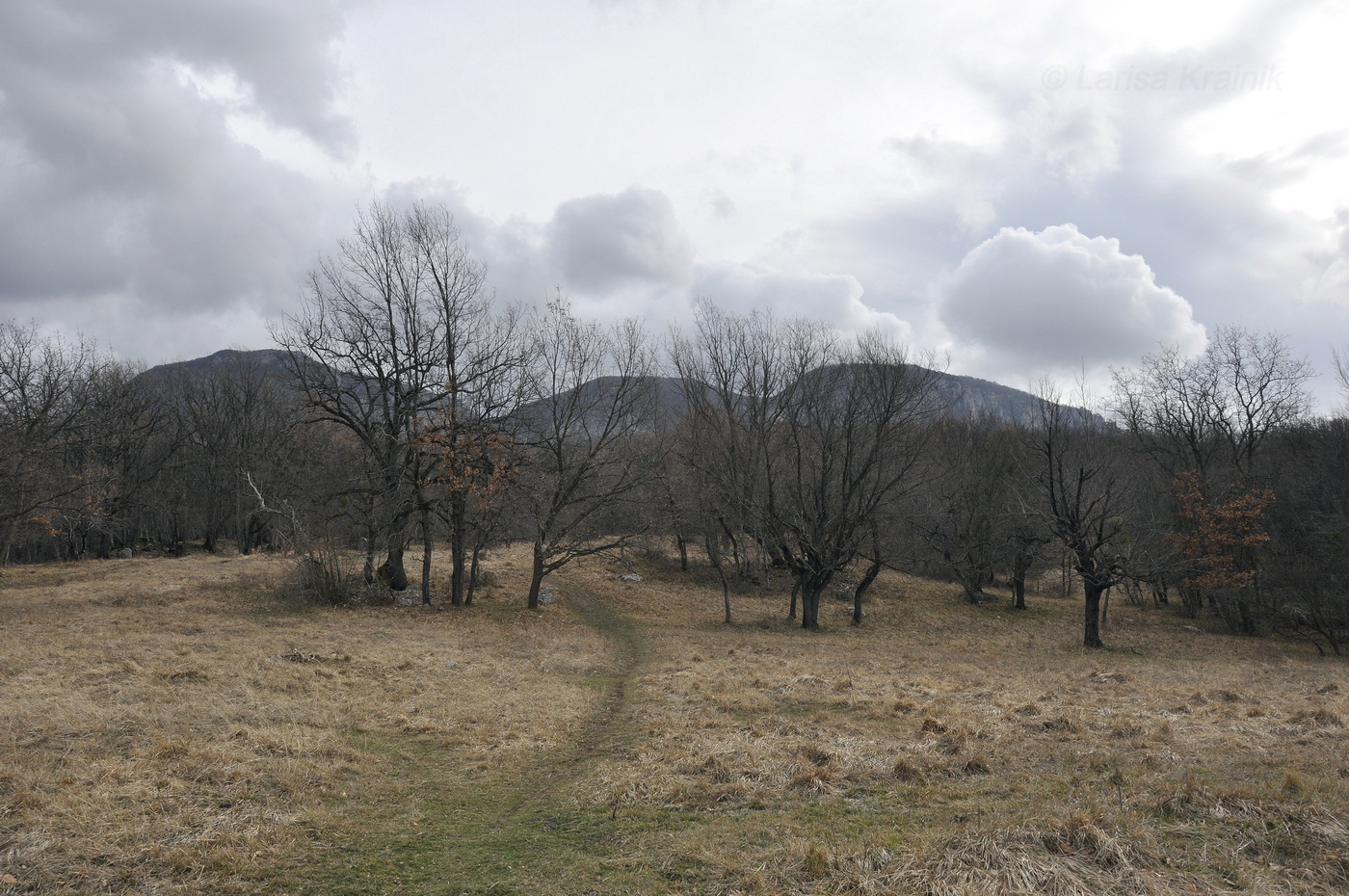 Окрестности Соколиного, image of landscape/habitat.