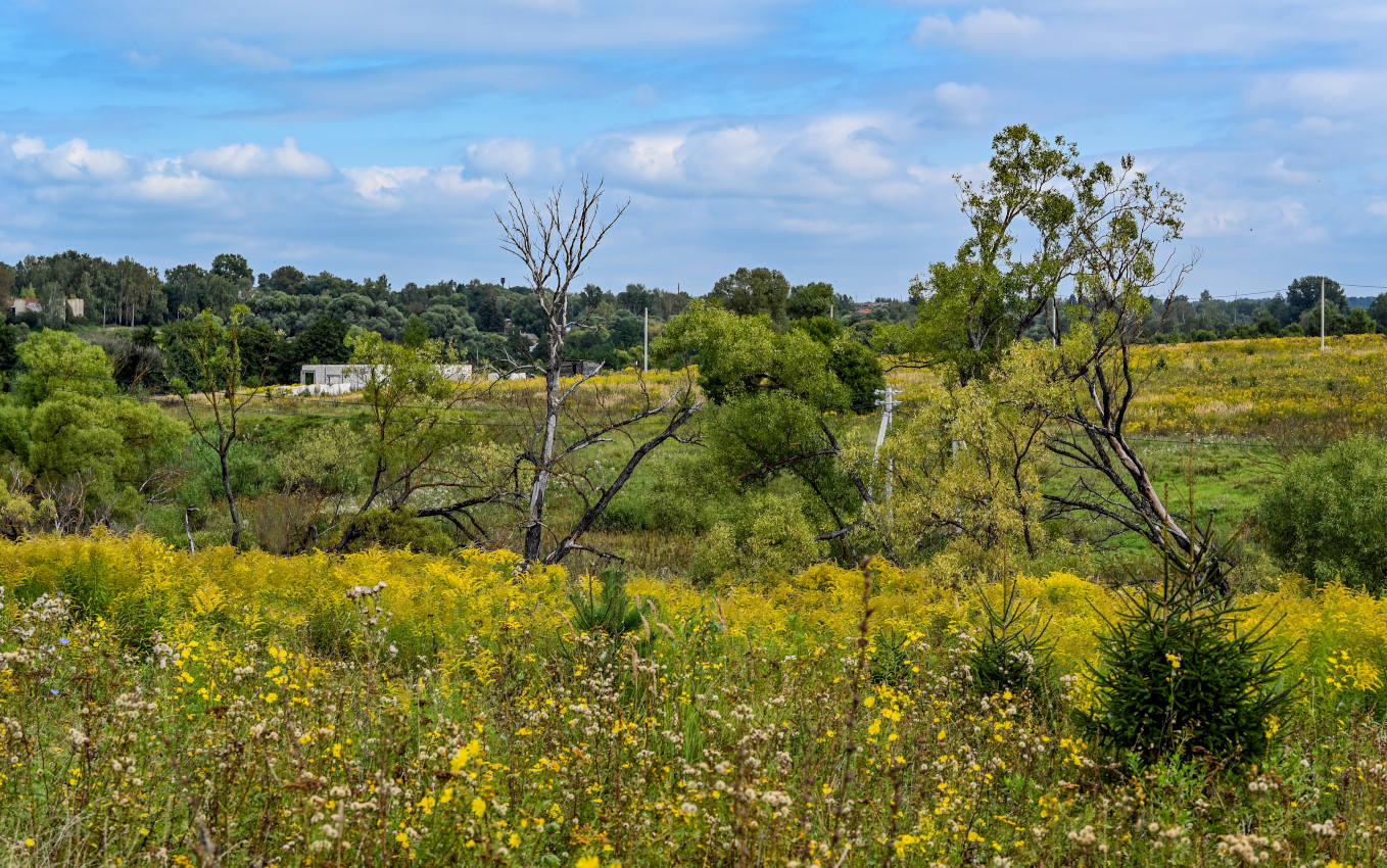 Окрестности села Дмитриевское, image of landscape/habitat.