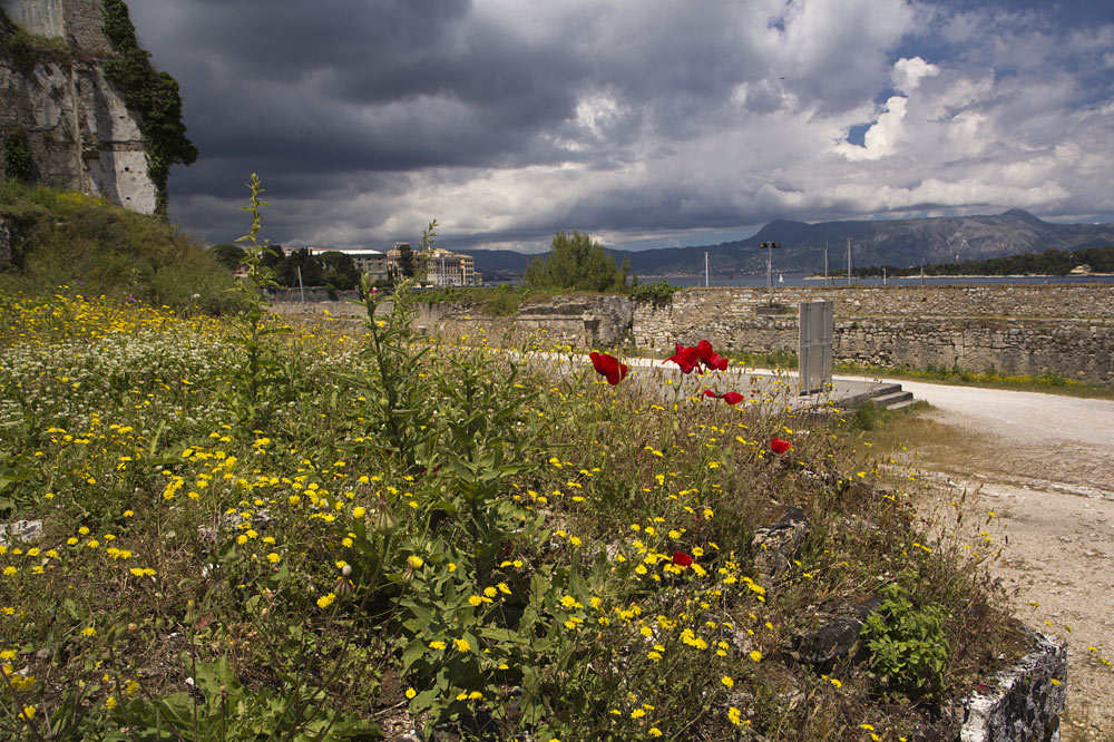 Керкира (Корфу), image of landscape/habitat.