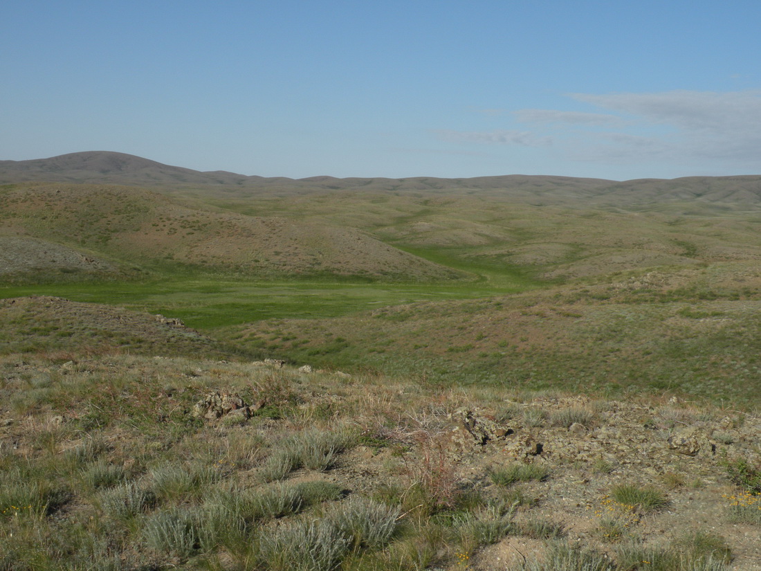 Мугоджары, image of landscape/habitat.