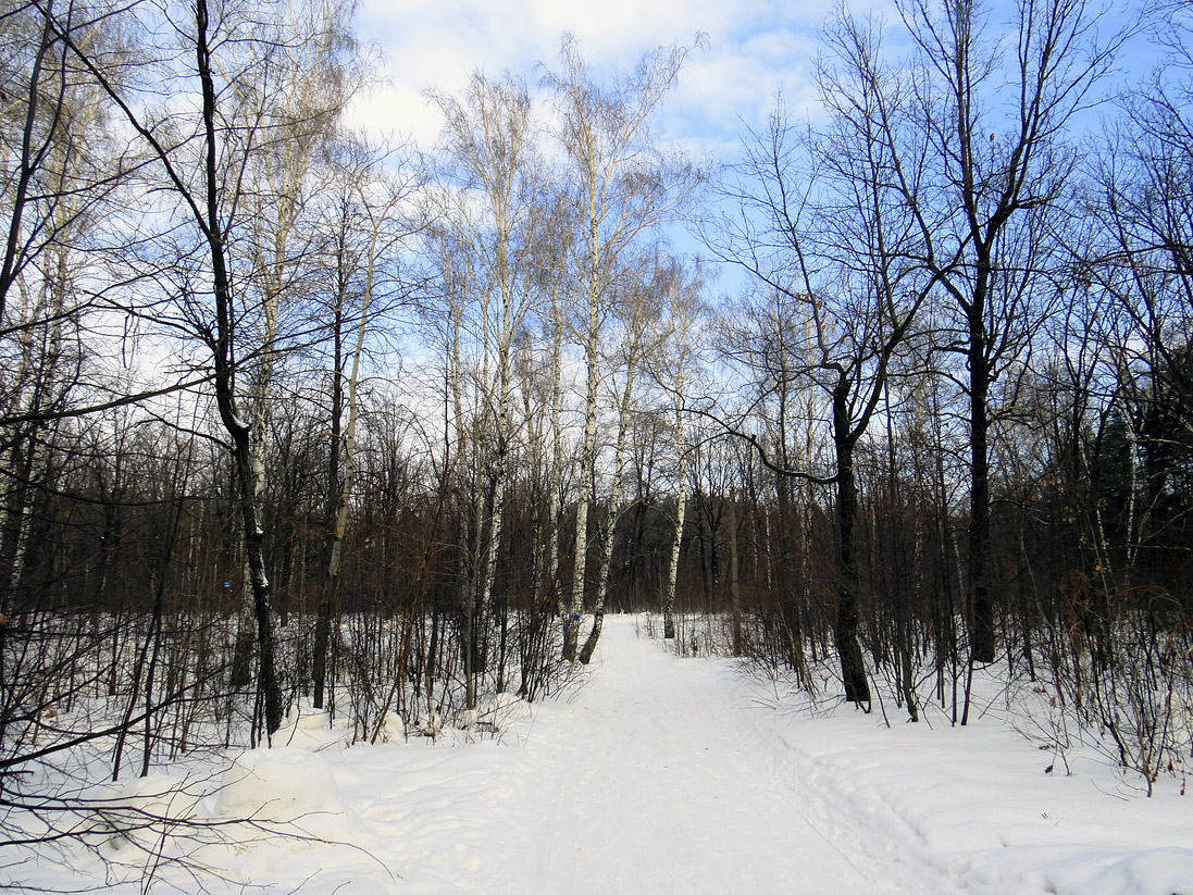 Верхняя Терраса и окрестности, image of landscape/habitat.