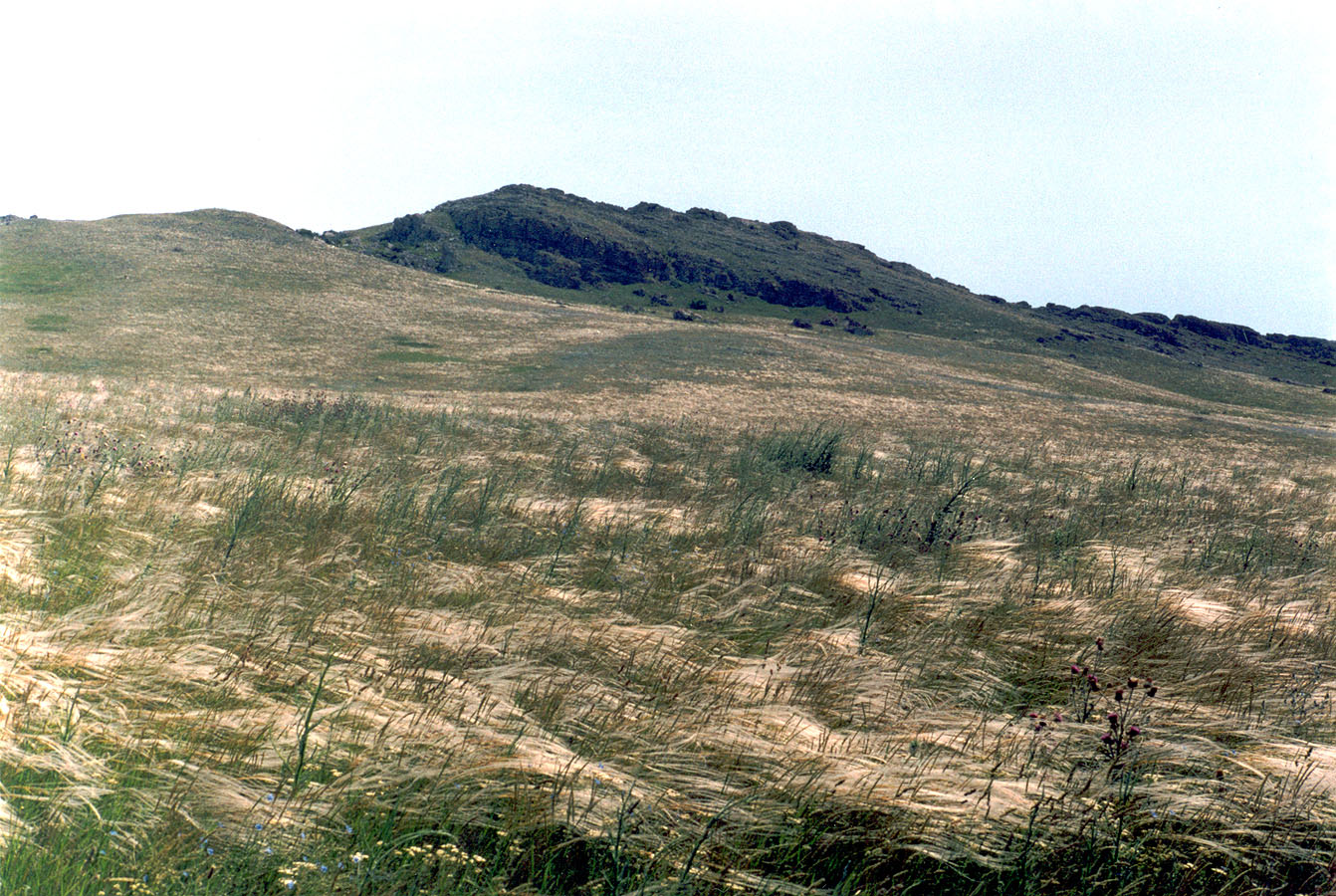 Опук, image of landscape/habitat.