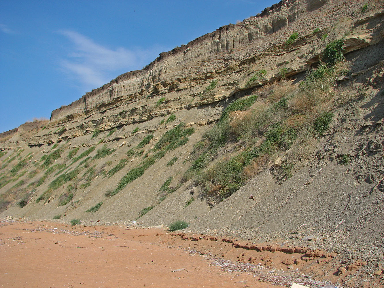 Окр. Яковенково, image of landscape/habitat.