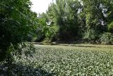 Ерик Первенький, image of landscape/habitat.