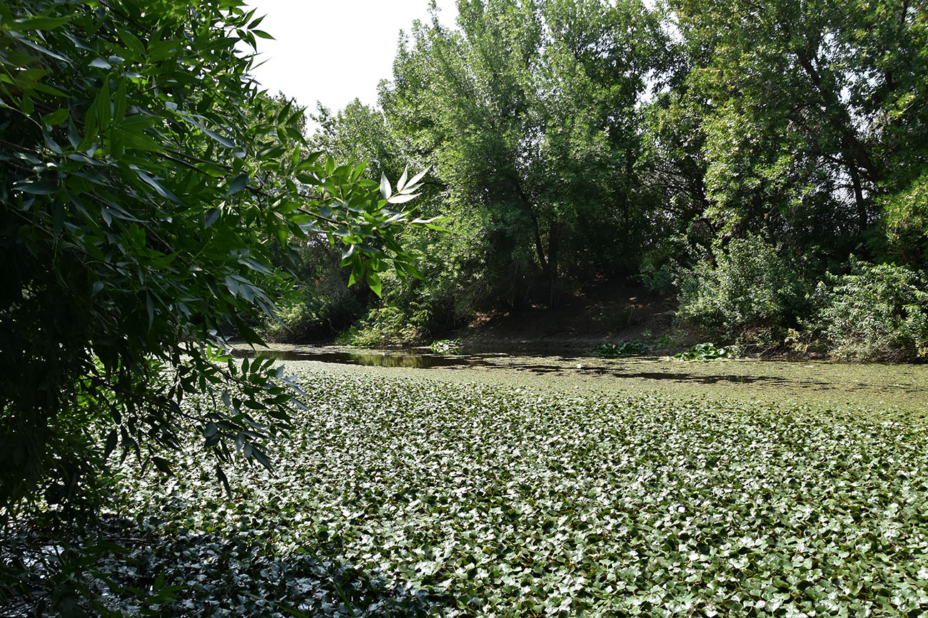 Ерик Первенький, image of landscape/habitat.